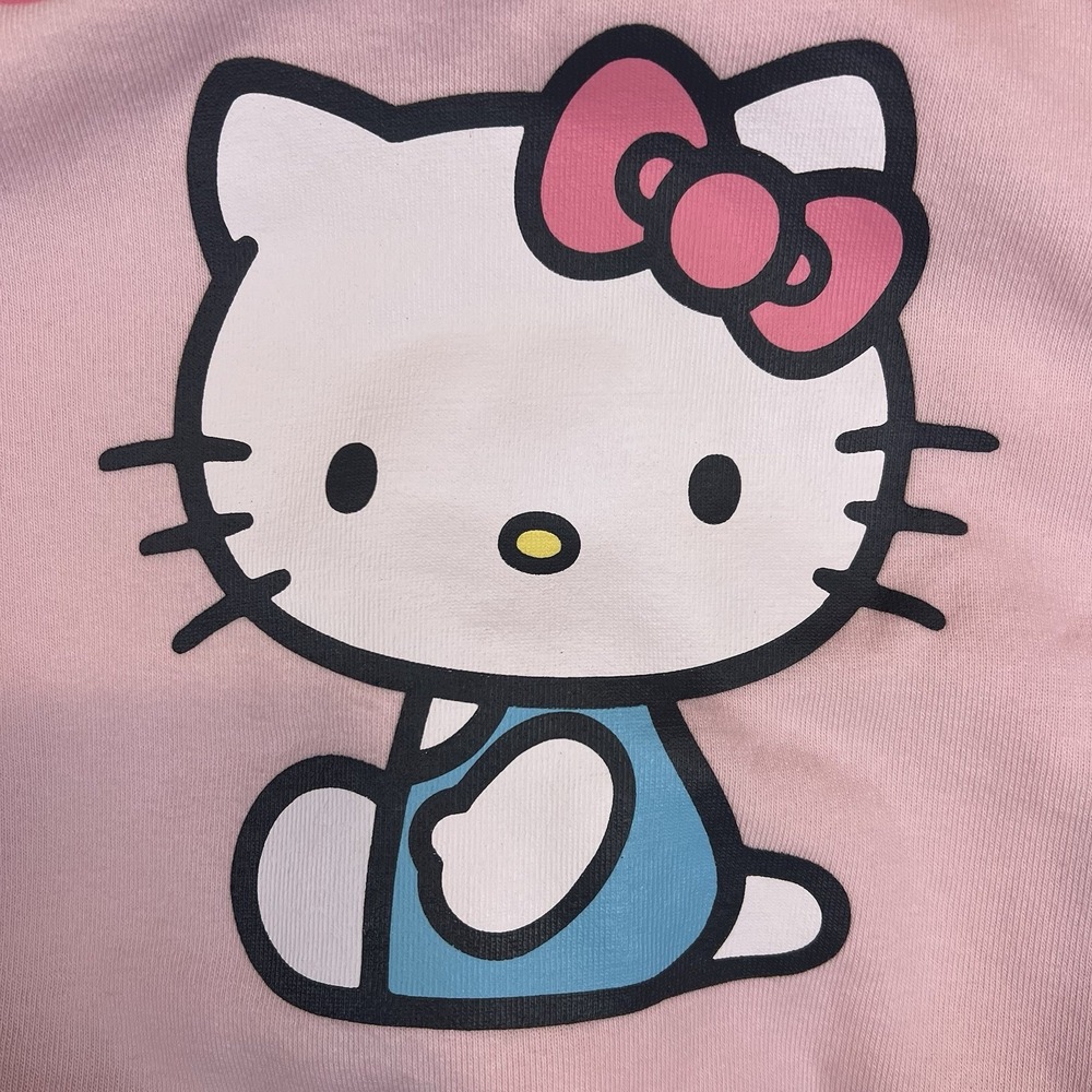 Hello Kitty By Sanrio Colorblock Graphic Cradle Pink Sweatshirt Size X-Large
